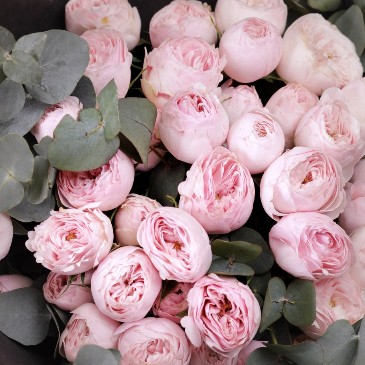 Buket kustovyh roz 6